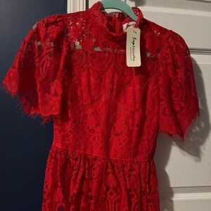 Stunning red lace top NWT!